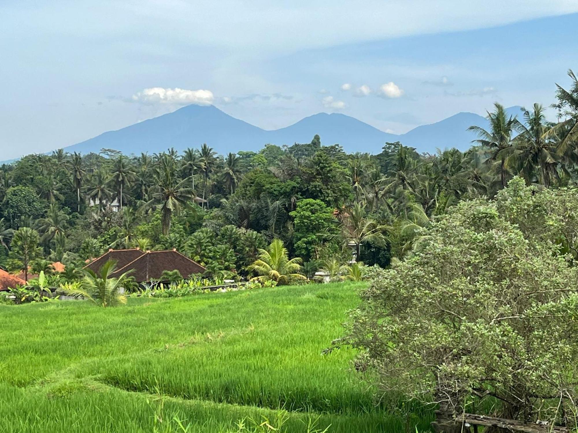 Maple Ridge Ubud Villas Exterior foto